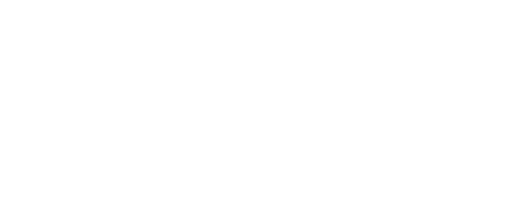 The Plan Estimation